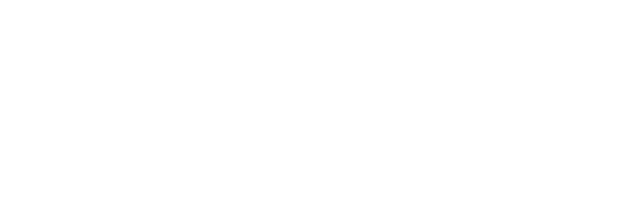 SCOUTFAST logo